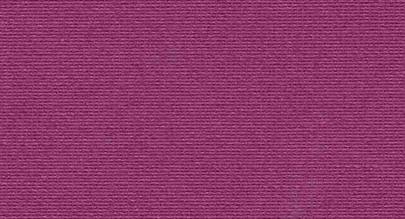 CARINA 7664
